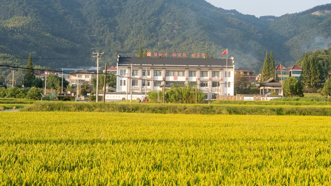 五万元农村创业项目选择指南
