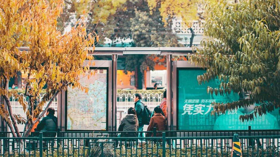 蓝莓种植每亩投资成本与风险深度解析