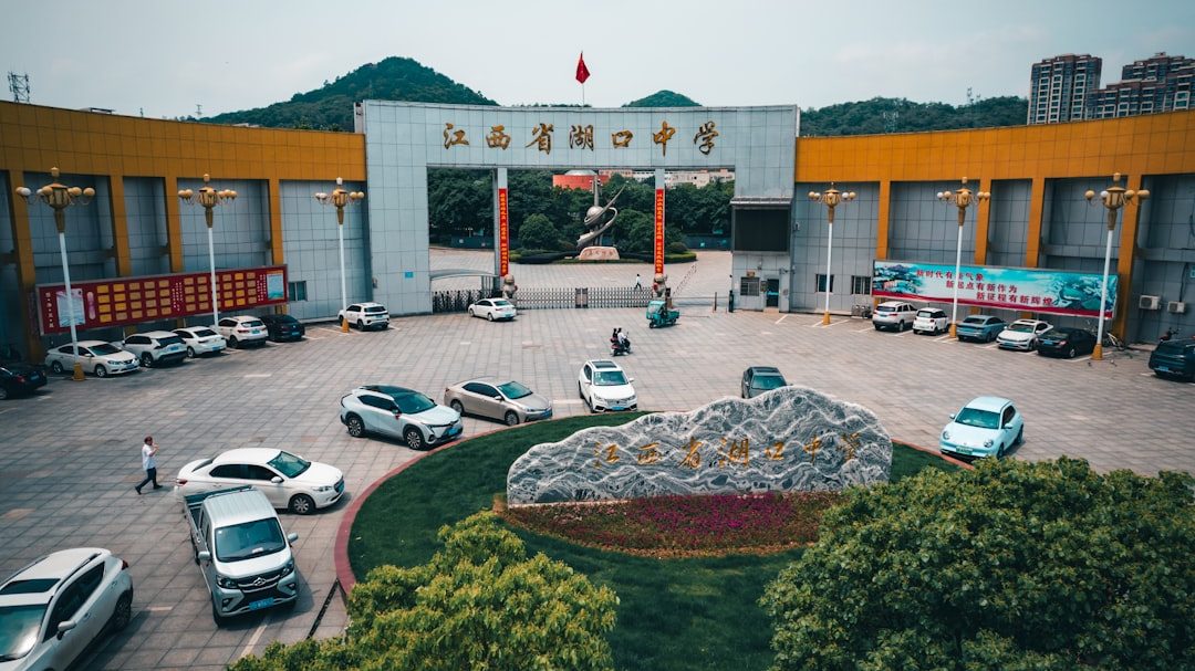 五万创业项目：丹东小浆果产业的低门槛入局路径