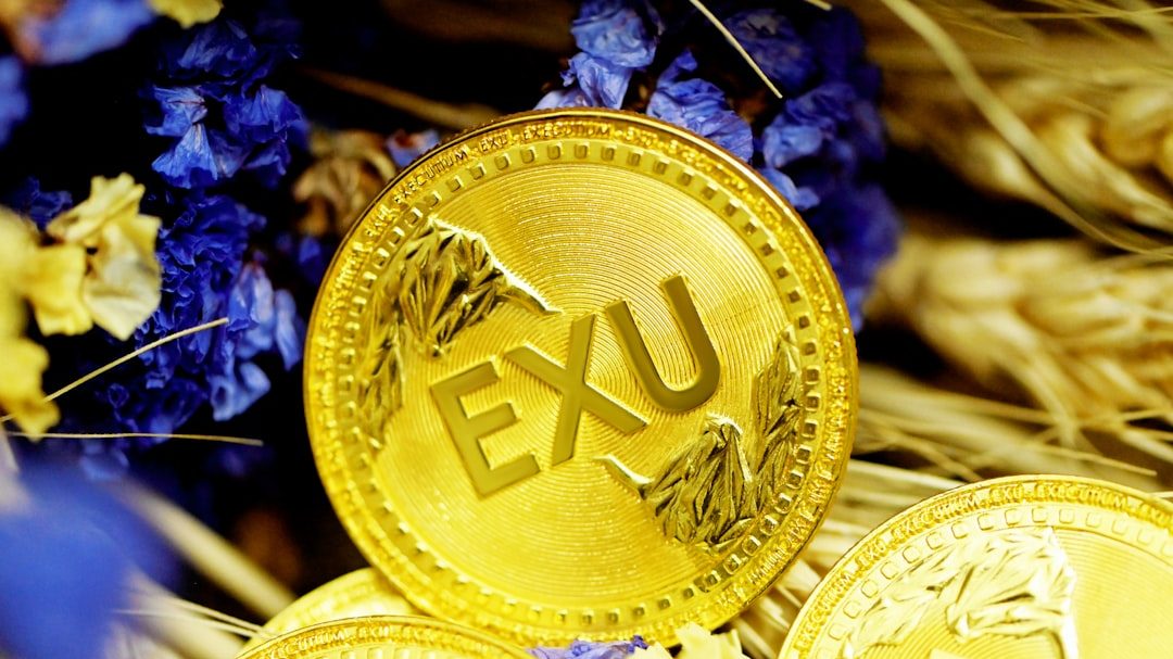 五万左右创业项目：果酒微酿的县域突围路径
