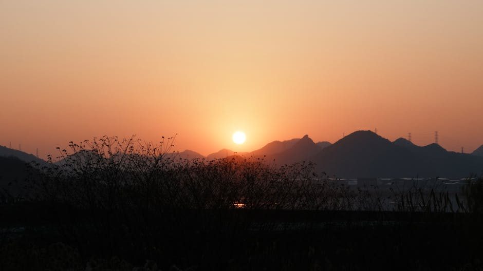 蓝莓庄园投资成本与运营模式深度解析