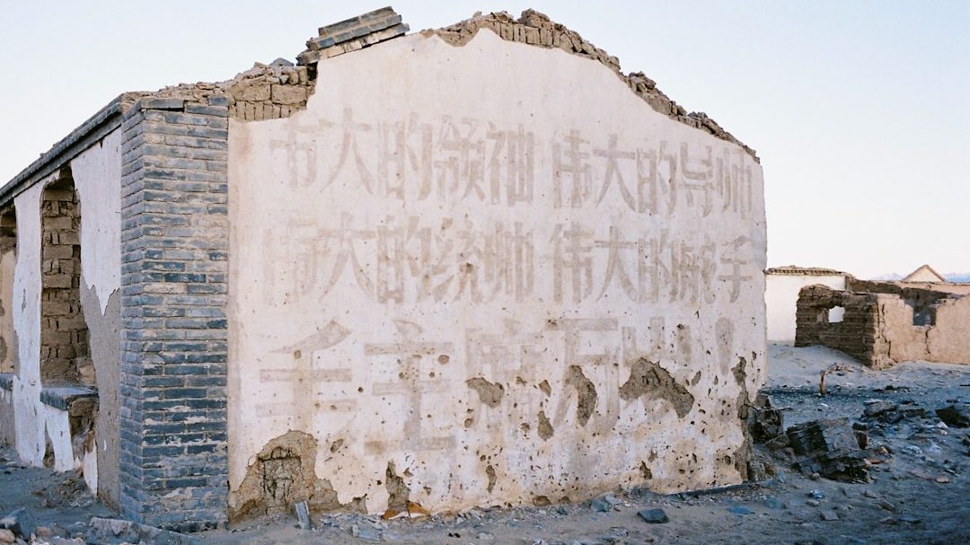 5万元农村创业项目补贴回报：从政策红利到产业落地的真...